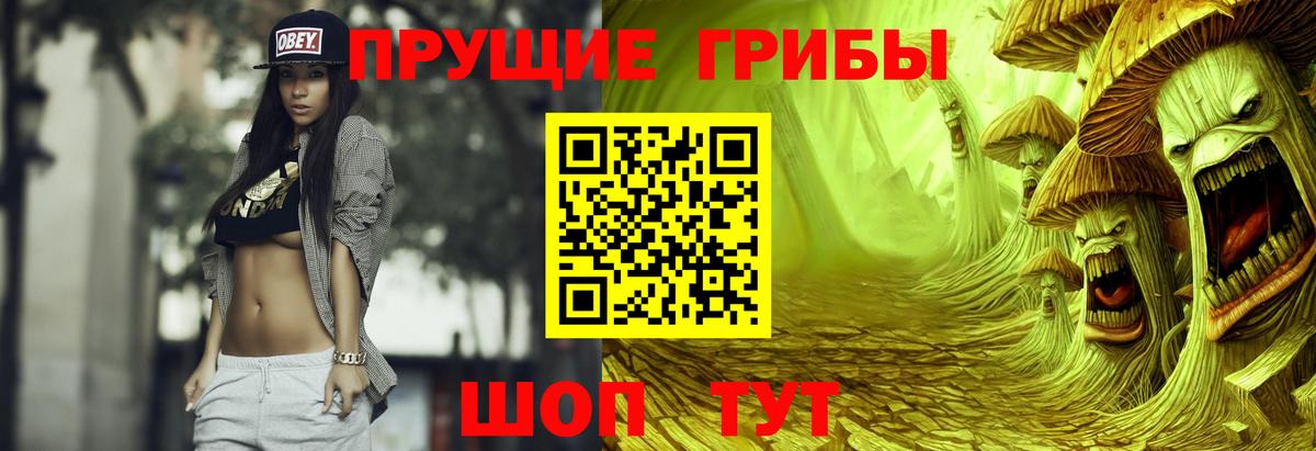 Галлюциногенные грибы Cubensis Лыткарино